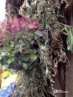 Side view of Hydrangea & Artemisia fall wreath. pixieperennials.com